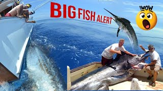 BOAT FISHING FOR GIANTS! Catching Huge Fish 🌴🐠 @KadalTv