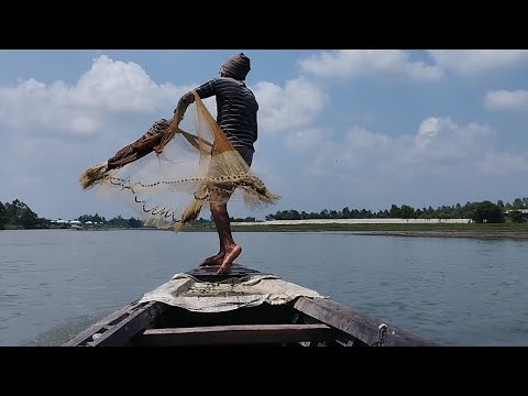 Most Popular Cast Net Fishing in Village River - Net Fishing With Beautiful Boat Natural (Part-39)