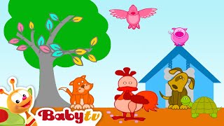 Dieren leren met Louie 🐄🐓🐖 Verstoppertje spelen! @BabyTVNL