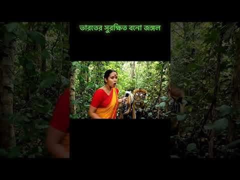 ভারতের সুরক্ষিত বনো জঙ্গল!