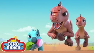 ¡Huye pequeño dino! | Dino Ranch Español