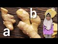 Identifying Ginger Images and Sizes