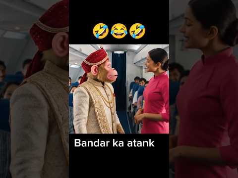 The monkey runs away from the wedding and gets on a plane and the girl is there to get married 😭