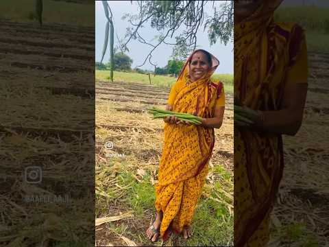 माझं शेत ♥ मग बाळांनो तुमच्या शेतात तुम्ही काय काय करता मला कमेन्ट्स करून नक्की सांगा | #shorts