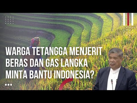 Malaysia Minta Tolong Indonesia! Anak Muda Malaysia Tidak Mau Jadi Petani Bikin Beras Mahal