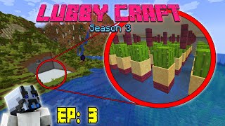 Starting my 1 Chunk Base! - Lubbycraft S3.E3