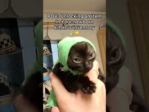 I want to get them all matching sock onesies! Should I do it? ๐๐ฑ๐งฆ#pov #newbornkittens #shorts