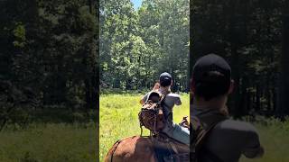 Seeing a WILD ARKANSAS BLACK BEAR from a mules back #bear #scare #horse #broke
