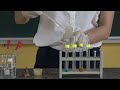 Chemical Experiment Procedures and Concepts