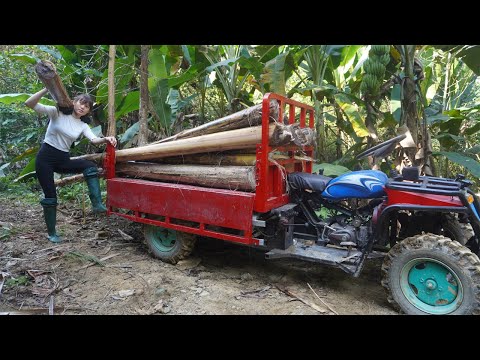 Used 4-wheeled Vehicle Trucks To harvest banana trees in the forest to feed pigs and chickens