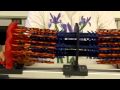 Muscle Contraction Mechanisms and Functions