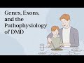 Dystrophin Gene and Muscular Dystrophy
