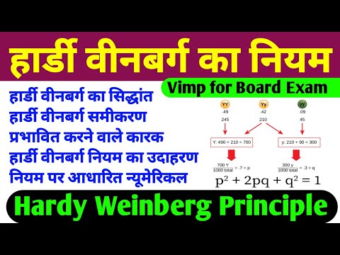 हार्डी वीनबर्ग का नियम | hardy weinberg ka niyam | hardy weinberg ka siddhant/principle | biology