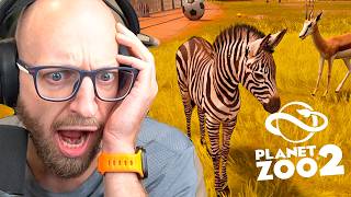 Vores Første Zebra Føl!
