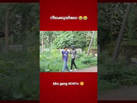 നീലക്കുയിൽ 🤣🤣#dctrolls #mrz #mrzthoppi #thoppi #thoppilive #shorts #short #onam2025 #mrzonam