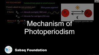 Mechanism of Photoperiodism