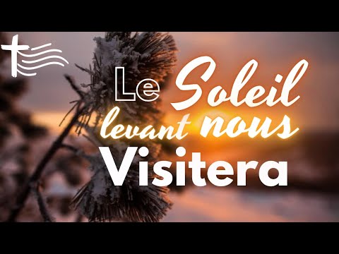 Parole et Évangile du jour | Mardi 24 décembre • Viens, Soleil levant !