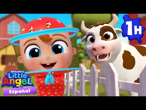 Bebé Juan visita la granja 🐄🐷 | Canciones Infantiles con Bebé Juan🎵| Little Angel Español