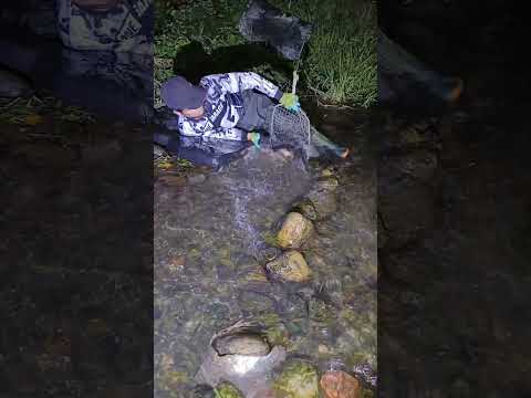 Sarap ng Tulog #viralvideo #viralshorts #ama#fishing