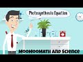 Photosynthesis Concepts and Processes