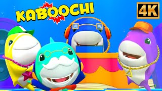 Kaboochi Baby Shark Song, Fun Dance & Music for Kids