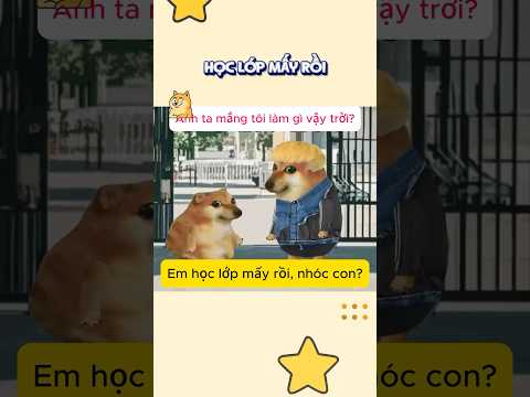 Học lớp mấy rồi #cheems