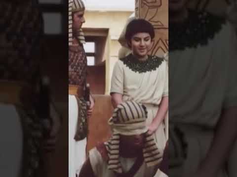 Hz. Yusuf Hırsızın Kim Olduğunu Buldu #shorts