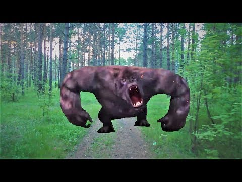 Kids and Monkey Johnny Johnny Baby Songs, Music Songs Johny Johny Yes Papa