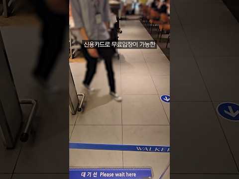 무료라 가는 뷔페