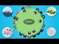 APEC's Role and Impact in Economy