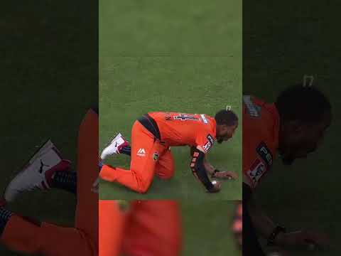 Top 5 Most Impossible Catches Ever #Cricket #CricketReels #CricketLovers