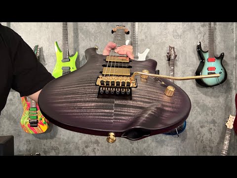 The NEW PRS Guitar Everyone Is Going To Hate