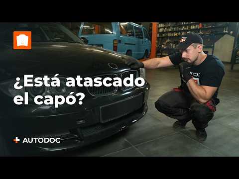 Qué hacer si el capó de tu coche no se abre | Consejos de AUTODOC