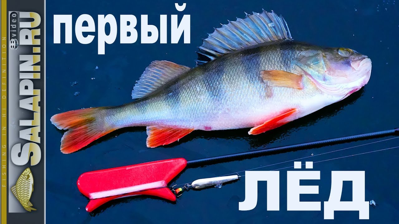 Зимняя рыбалка: первый лед 2017-2018, окунь на блесну