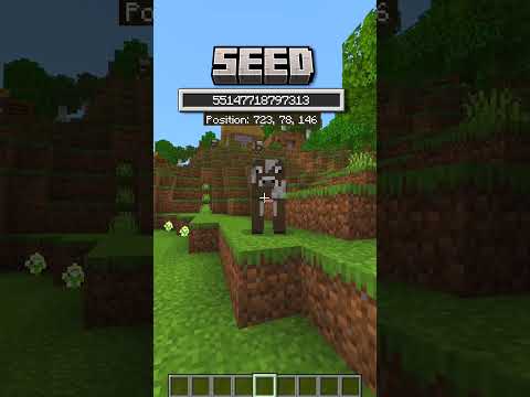 Der PERFEKTE Minecraft 1.21 Seed für faule Spieler!