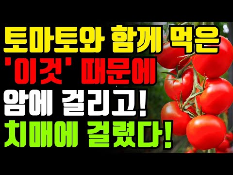 토마토와 절대로 함께 먹지마세요🍅 암과 치매에 걸릴 수 있습니다! 토마토 함께 먹으면 보약되는 음식 3가지와 만성 염증과 암세포, 독소 싹 빼주는 최고의 레시피 [효능 건강 정보]