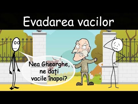 AVENTURI CU VACA: Evadarea vacilor
