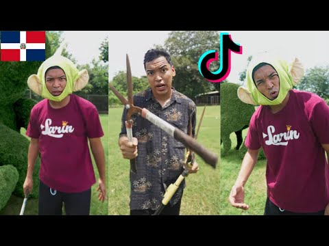 LOS ARBOLES DE LARIN JR LOS NUEVOS TIKTOK DE ALFREDO LARIN PARODIA DOMINICANA 🇩🇴🤣