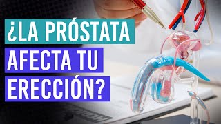 Próstata inflamada y erección débil: cómo saber si están relacionados | Urólogo explica 👨‍⚕️