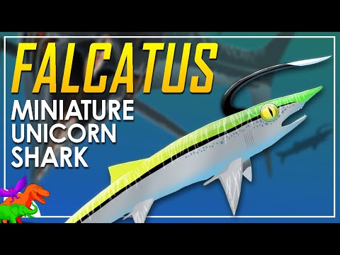 Falcatus | The Prehistoric Unicorn Sharks