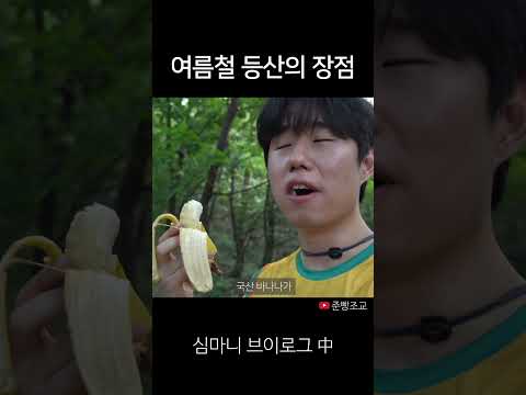 여름에 등산을 해야하는 이유 #shorts