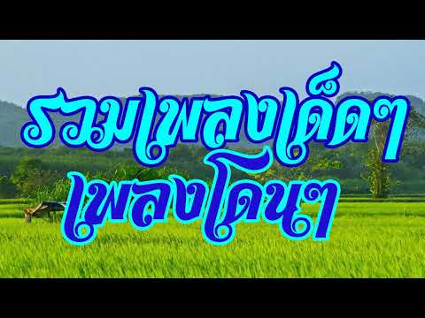 รวมเพลงเด็ดๆ เพลงโดนๆ