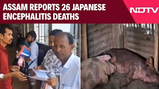 Encephalitis News | Assam Reports 26 Japanese Encephalitis Deaths, Makes Up 50% Of India's Cases