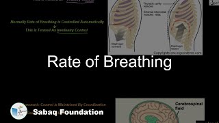 Rate of Breathing