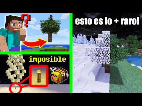 10 Cosas Increíbles en Minecraft que NO Tienen Sentido