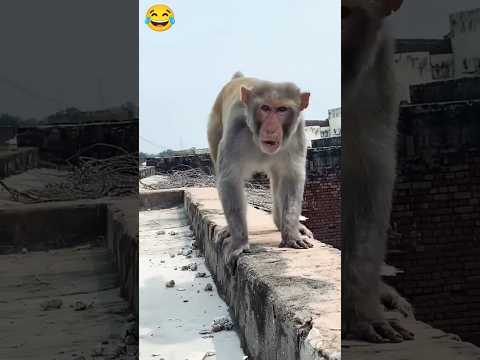 mere upar kaise gussa ho raha hai 🤣🤪