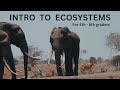 Exploring Ecosystems for Students