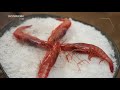 Explorando a Experiência de Salinas no Sotavento Algarvio