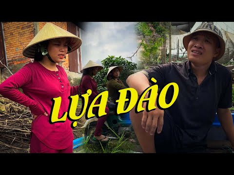 Lựa Đào #videogiaitri #vochongson #nguyenhuyvlog