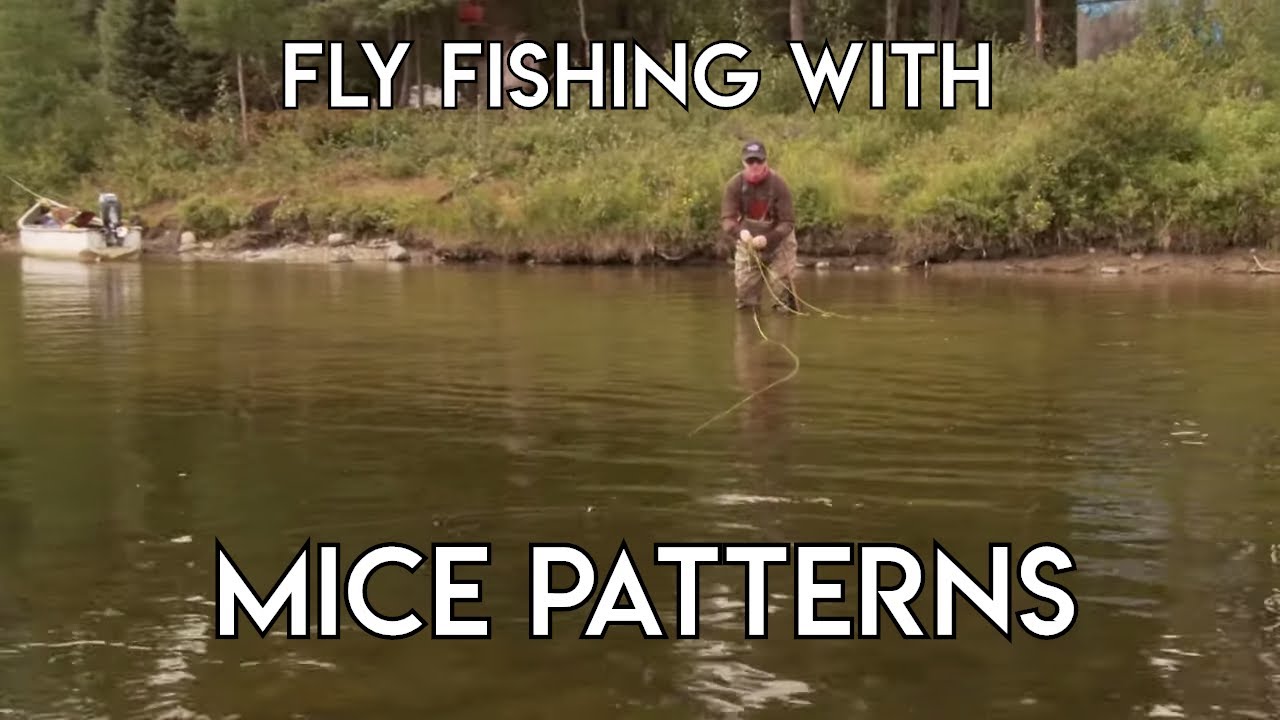Brook Trout on Mice Patterns - Famous Sutton River - The New Fly Fisher